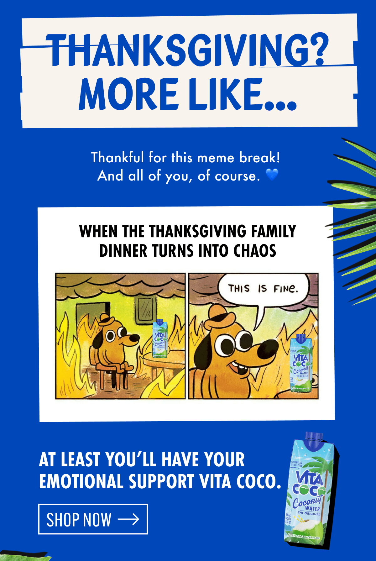Thanksgiving? More like... Thankful for this meme break! And all of you, of course. | at least you'll have your emotional support vita coco. | Sho now 