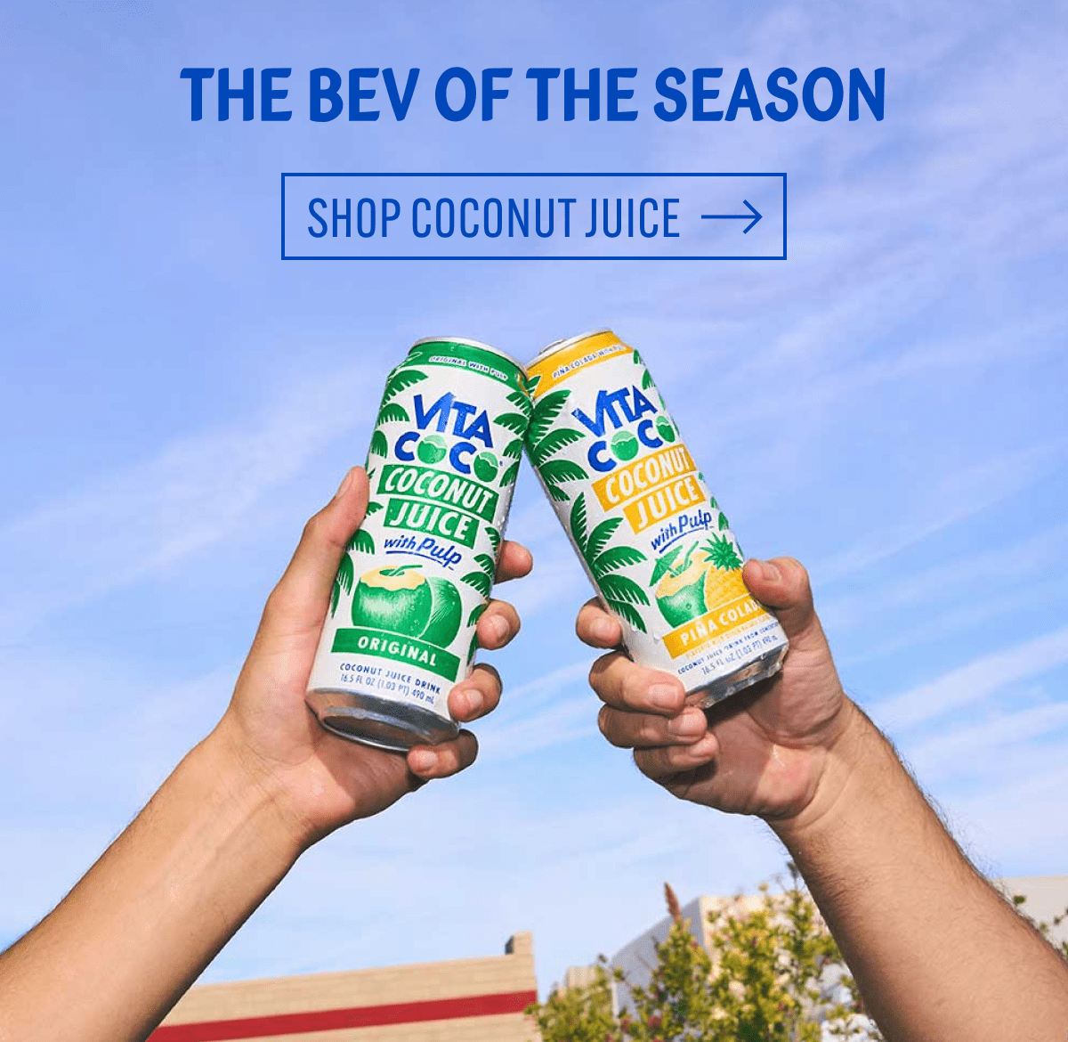The Bev of the Season | Shop Coconut Juice