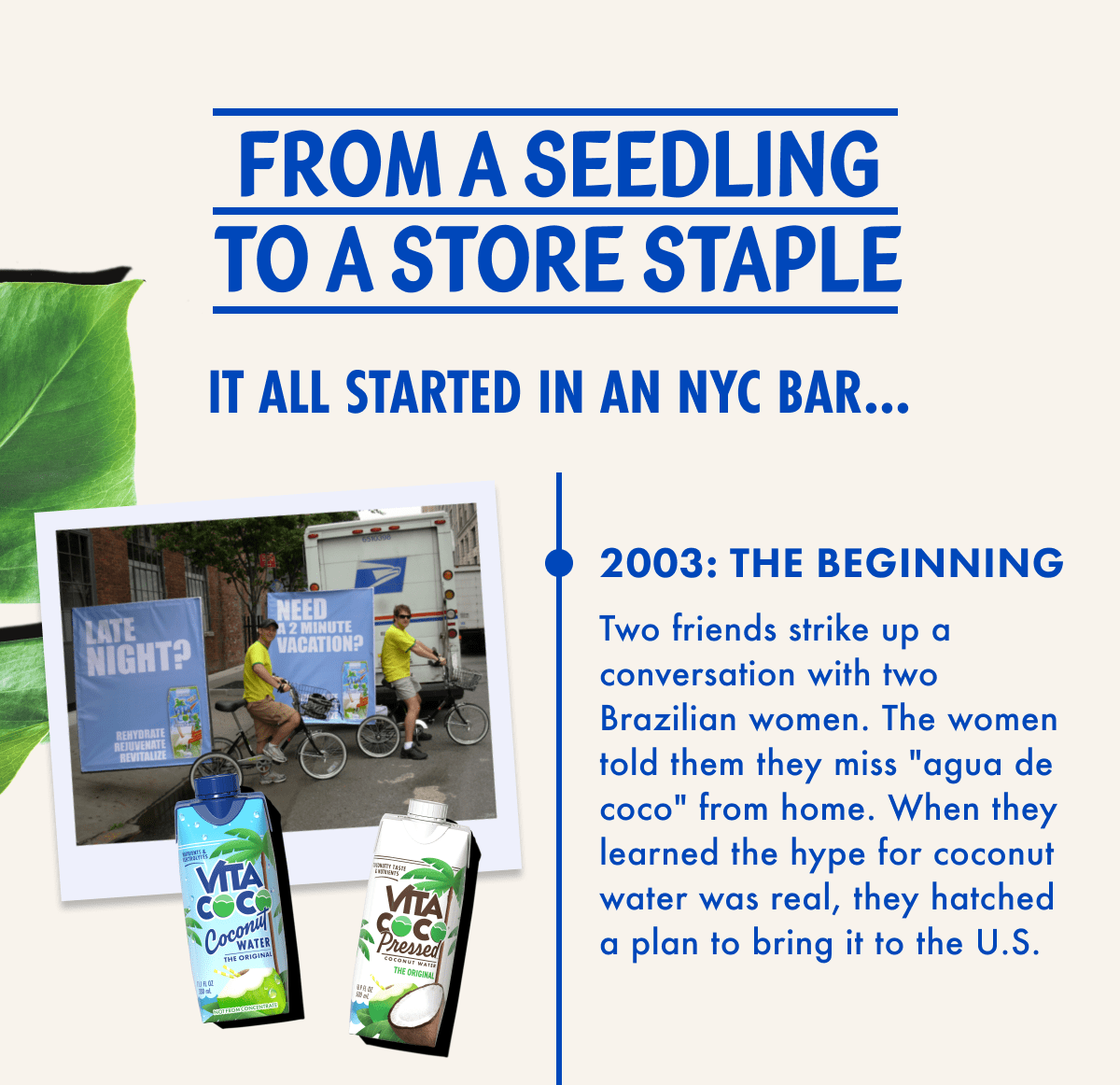 From a seedling to a store staple, it all started in an NYC bar...