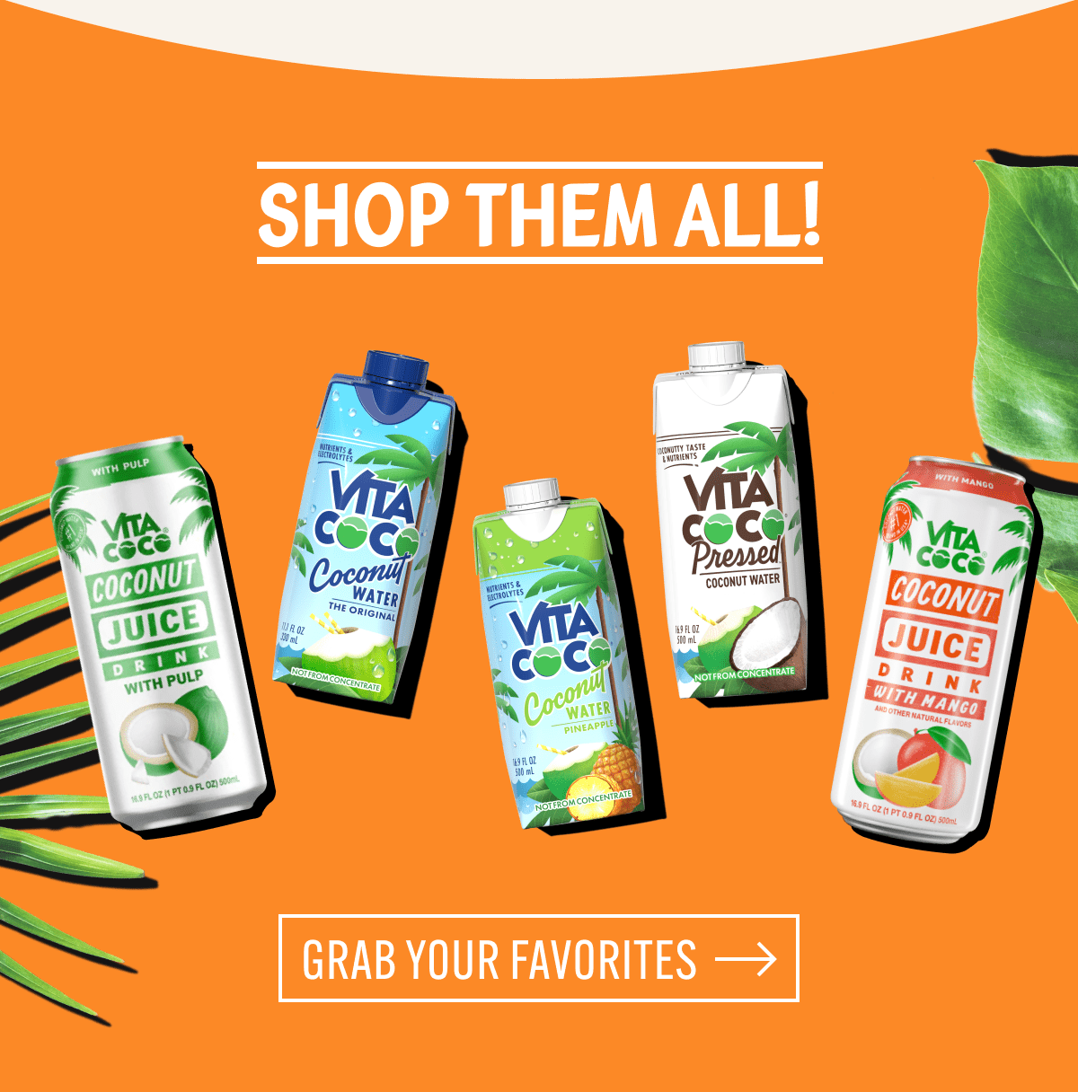 Shop them all! | Grab your favorites
