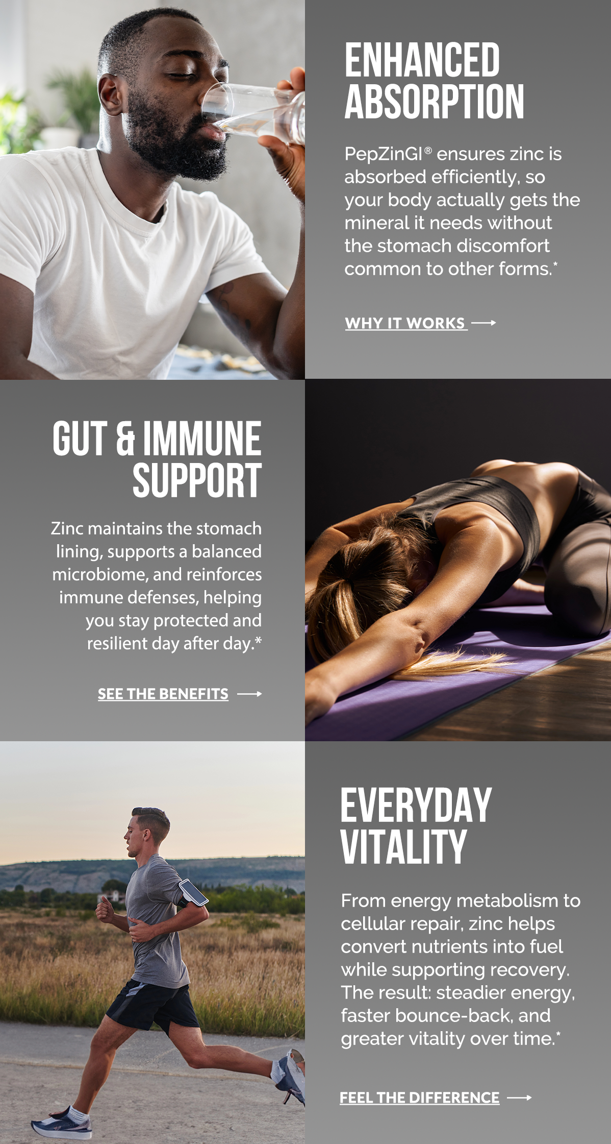 Enhanced Absorption, Gut & Immune Support