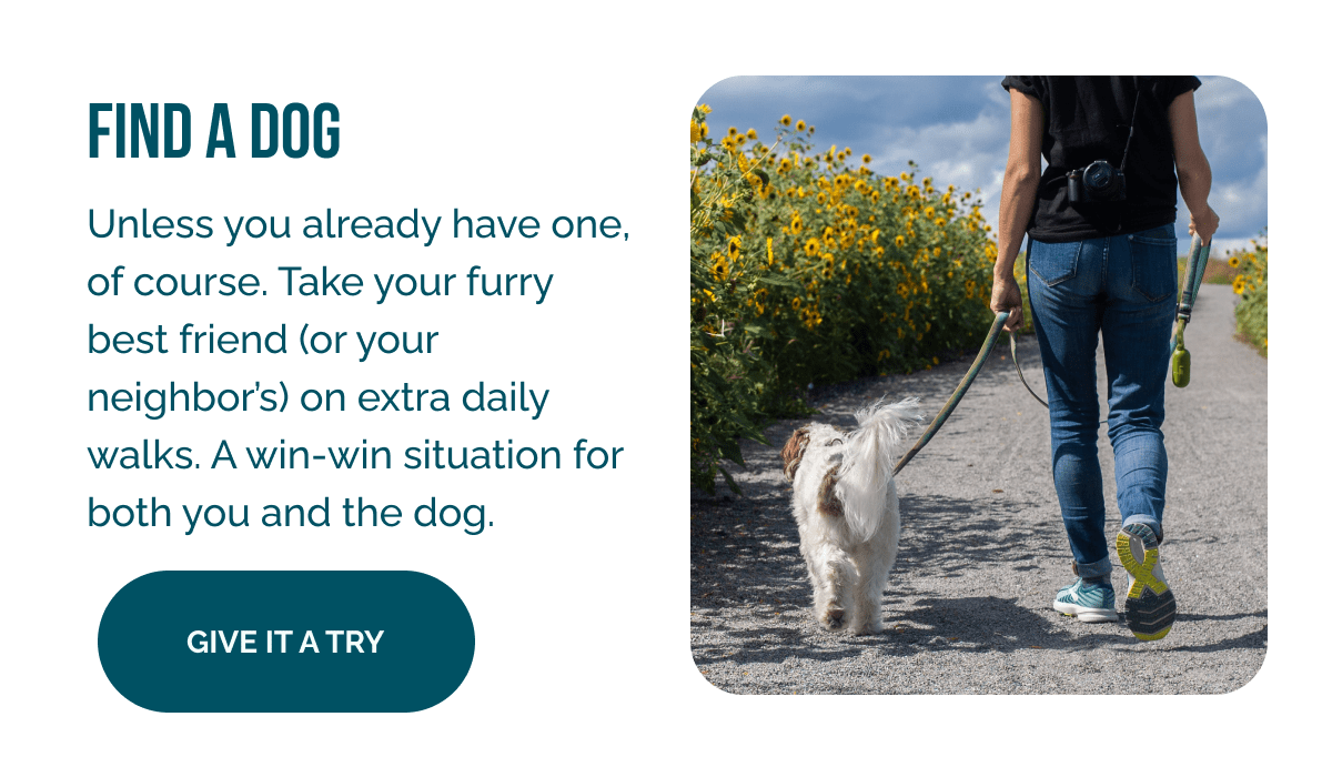 Find a Dog  Unless you already have one, of course. Take your furry best friend (or your neighbor's) on extra daily walks. A win-win situation for both you and the dog.
