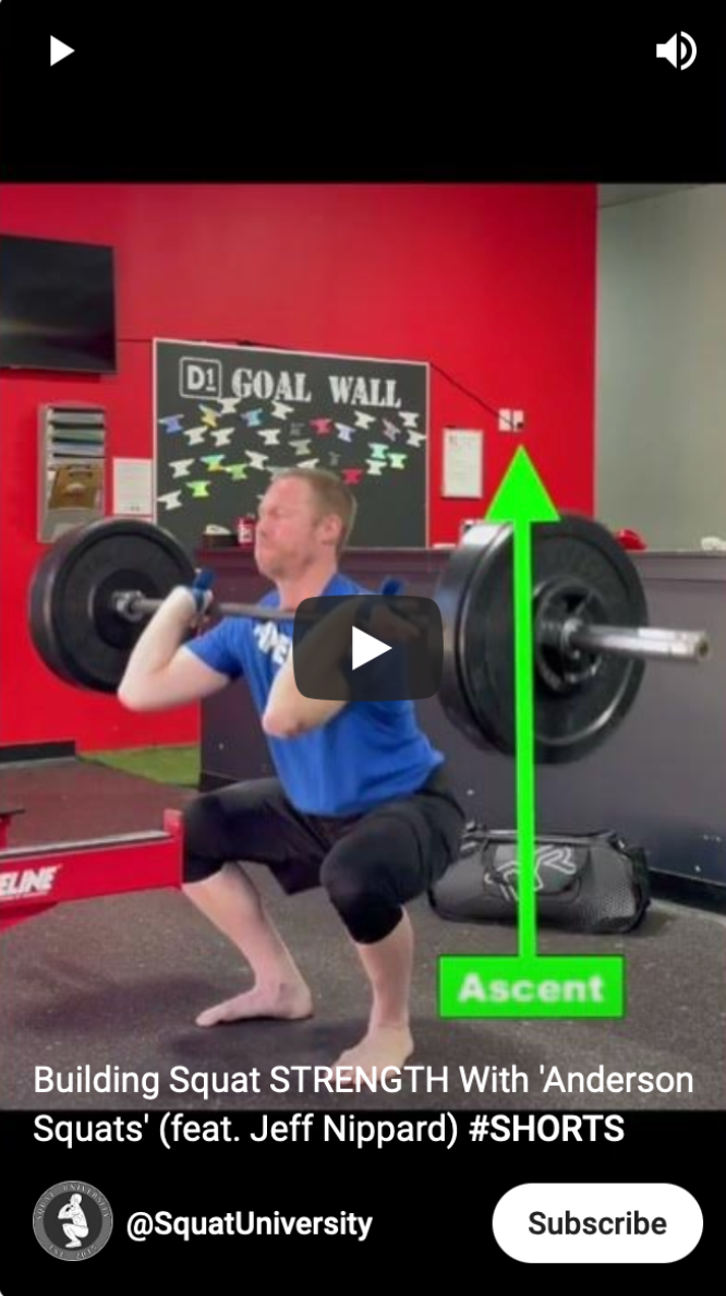 Increase Your Squat Strength With Anderson Squats