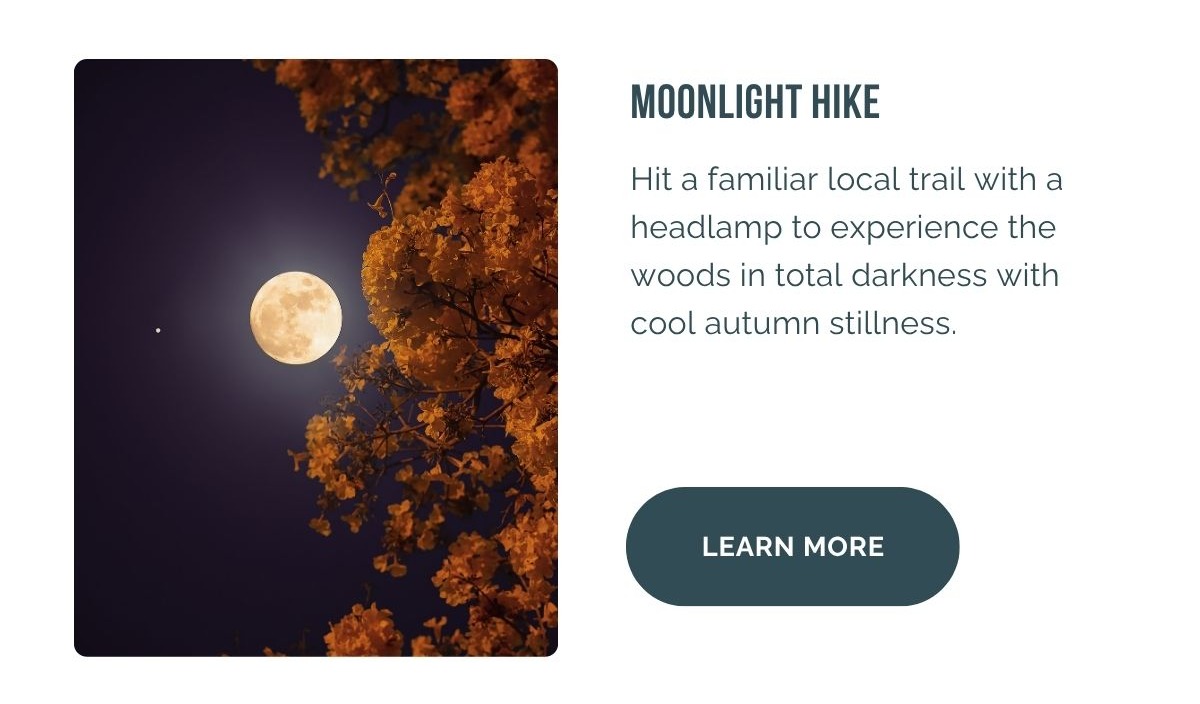 Moonlight Hike