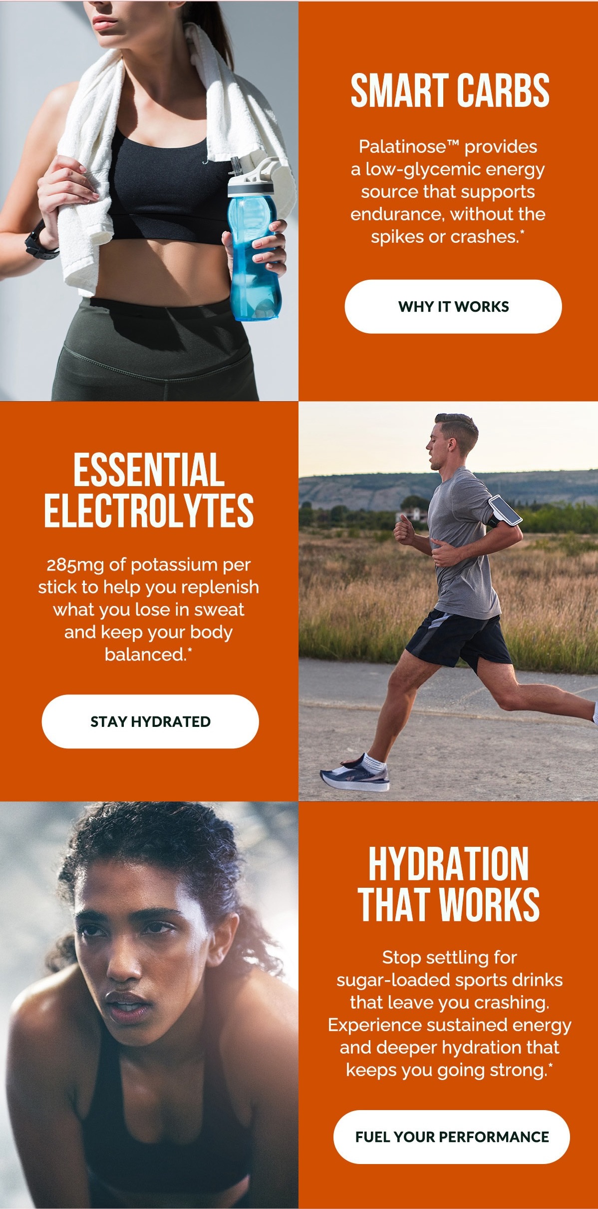 Smart Carbs, Essential Electrolytes