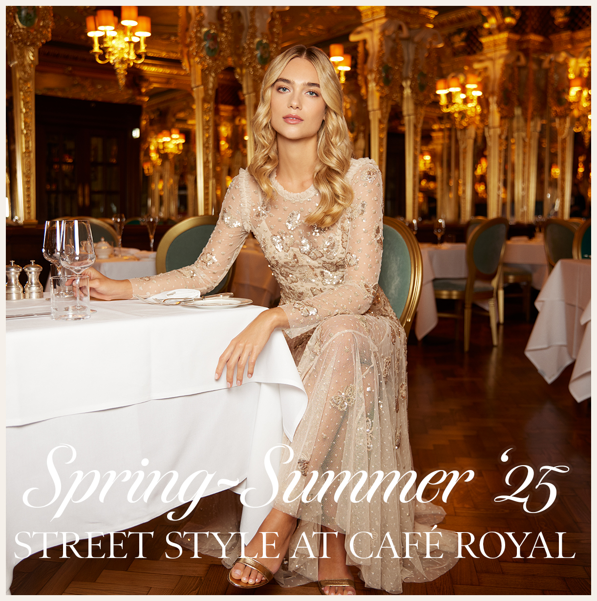Papillon Sheer Ankle Gown
