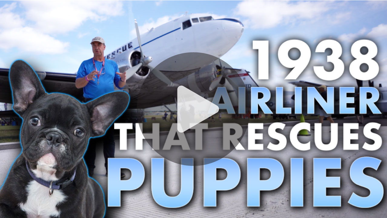 1938 Airliner with a Puppy in the foreground