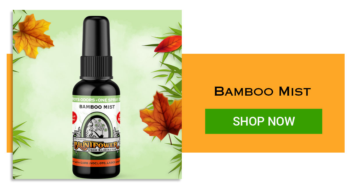 Bamboo mist