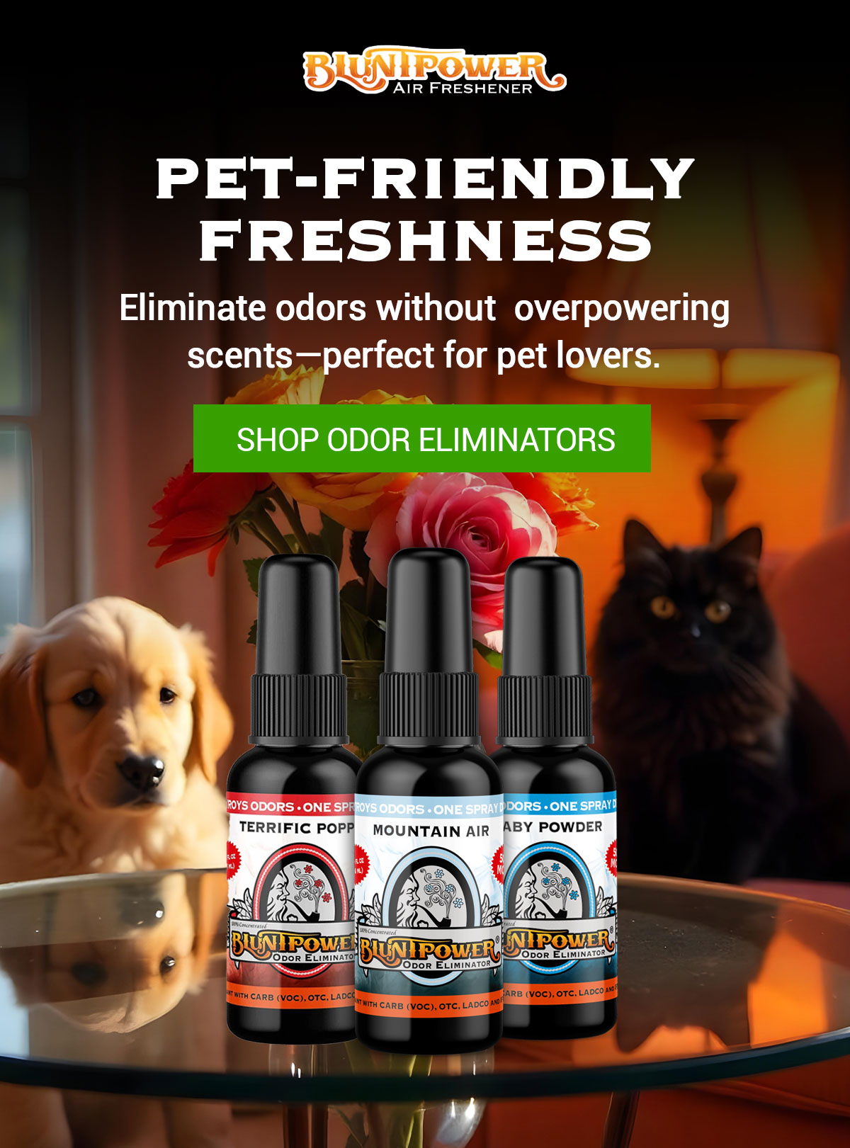 Shop Odor Eliminators