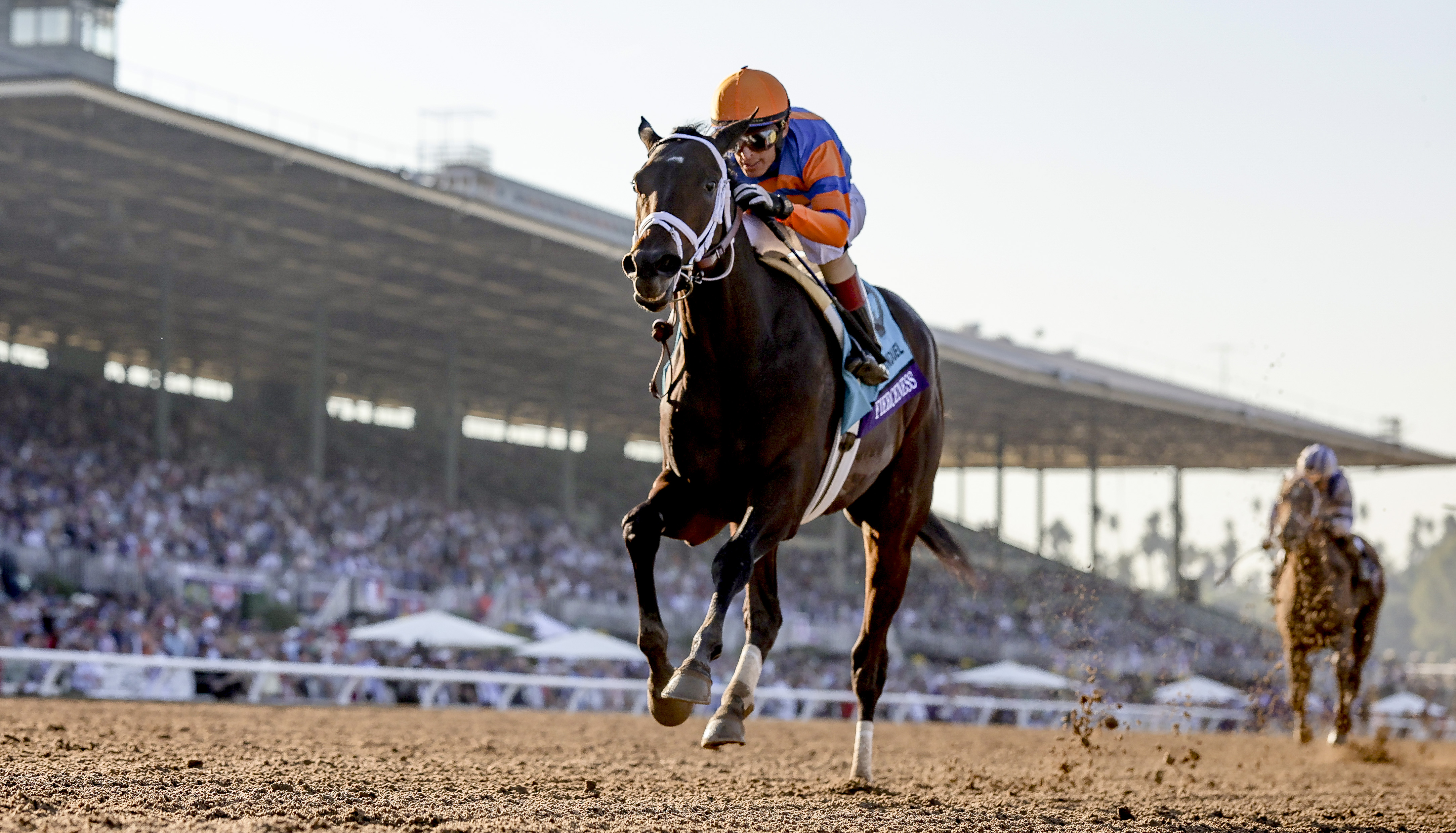 Official Online Store - Breeders' Cup Shop