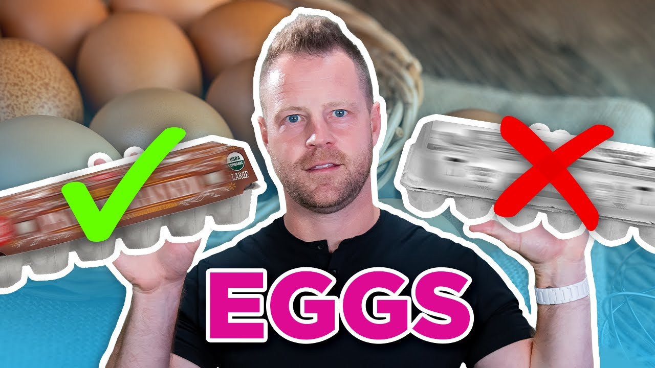 Stop Buying The Wrong Eggs – How To Buy Healthy Eggs