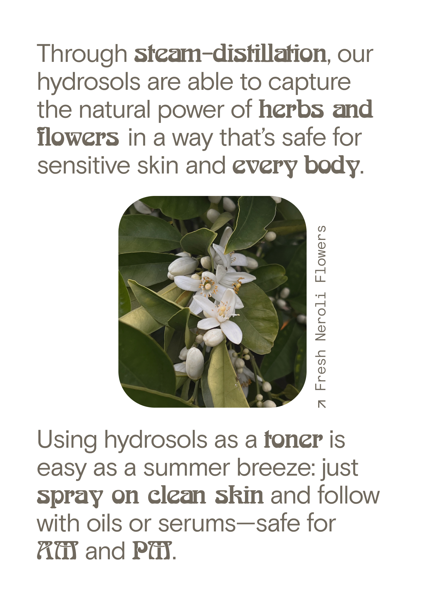 How to Hydrosols as toners Bathing Culture
