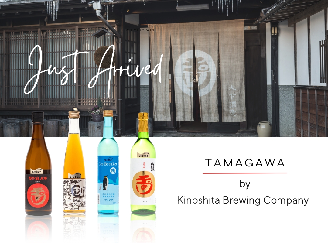 Tamagawa by Kinoshita Brewing Company Tippsy Sake