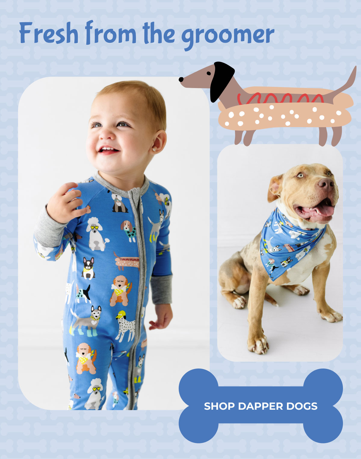 Fresh from the groomer | SHOP DAPPER DOGS