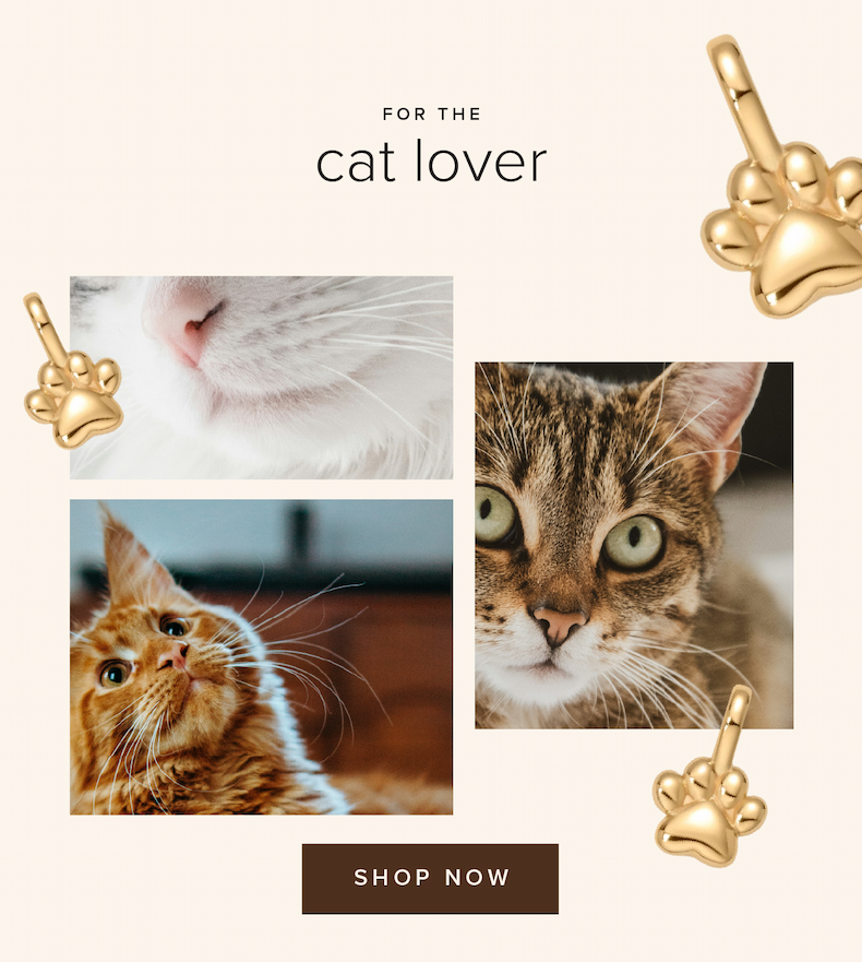 For the cat person