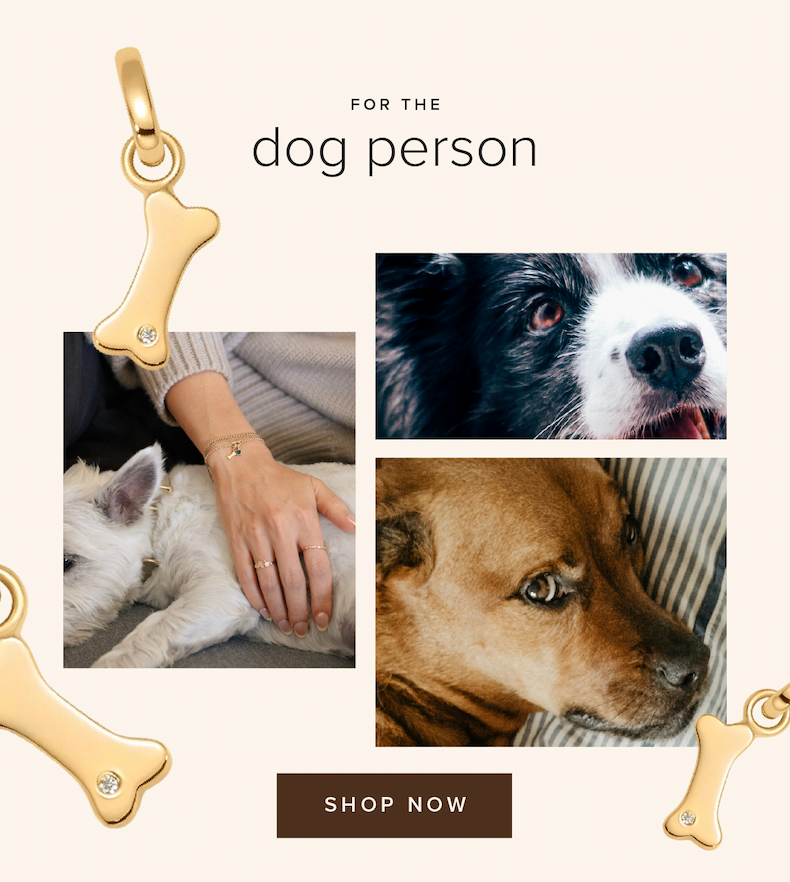 For the dog person