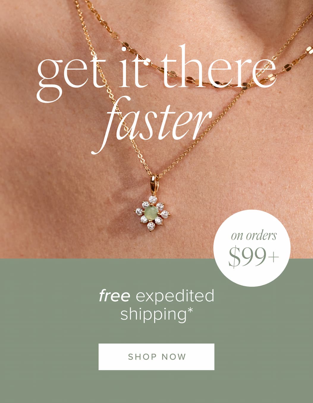 free expedited shipping