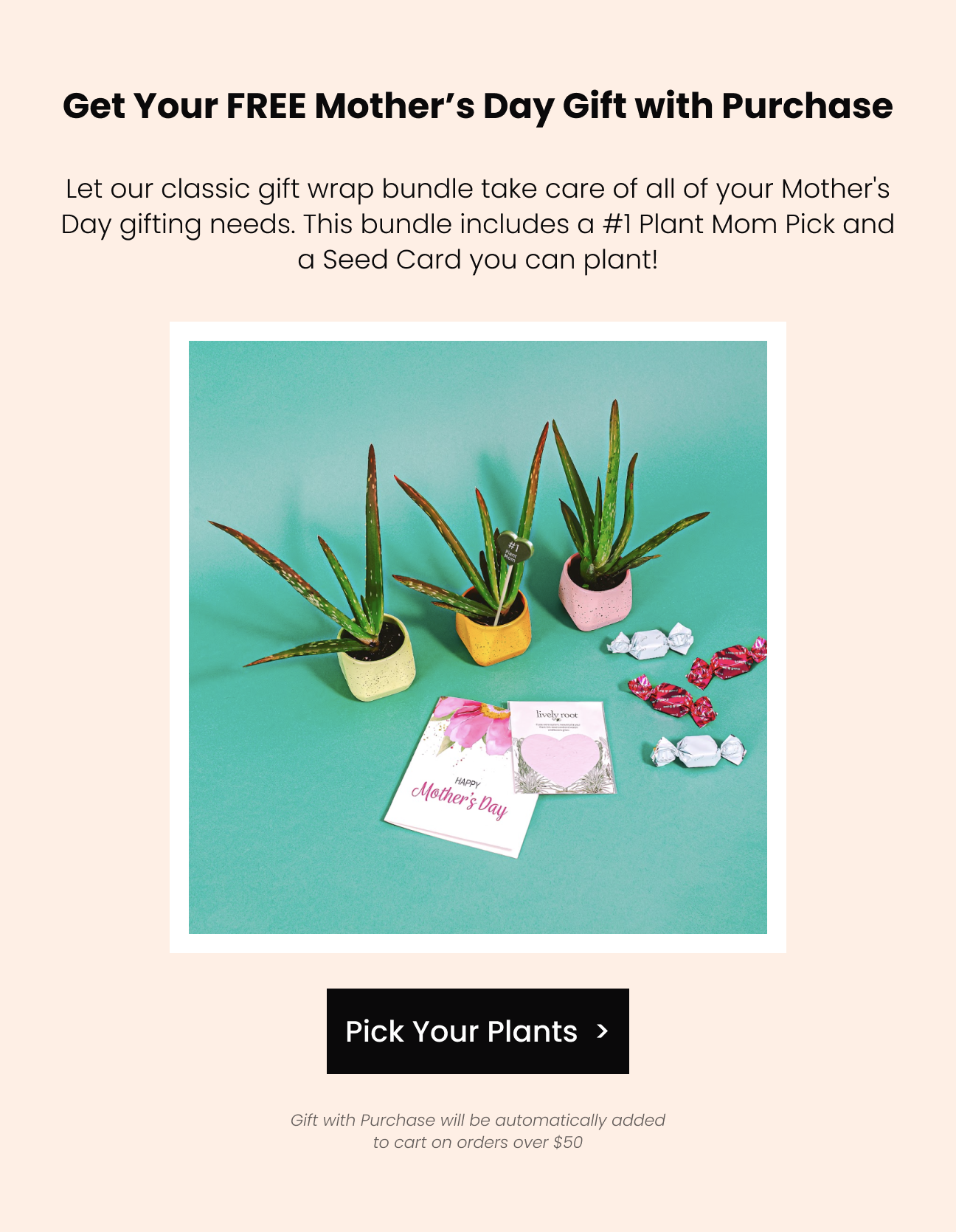 Lowes Mothers Day Plants - 0faxfyf