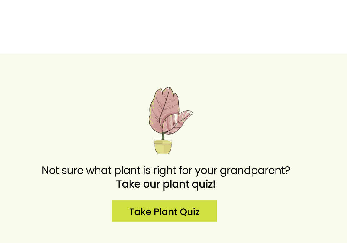 Happy Grandparents Day 🌱 Lively Root