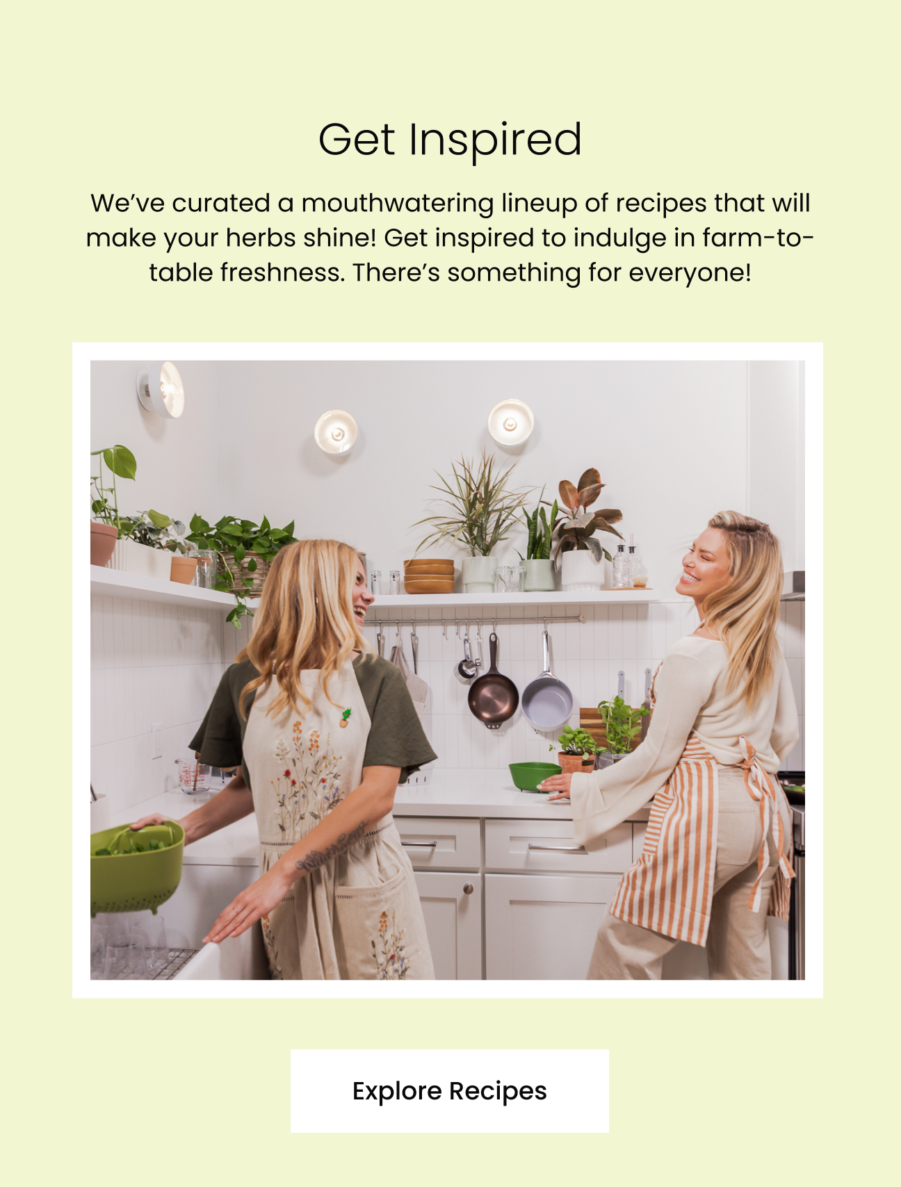 Find Your Plant Paring 🧑‍🍳🌿 Lively Root