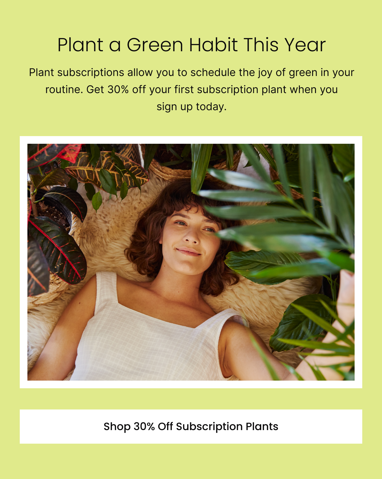 🧨 Limited Edition Lunar New Year Pots Don't Miss Out! Lively Root