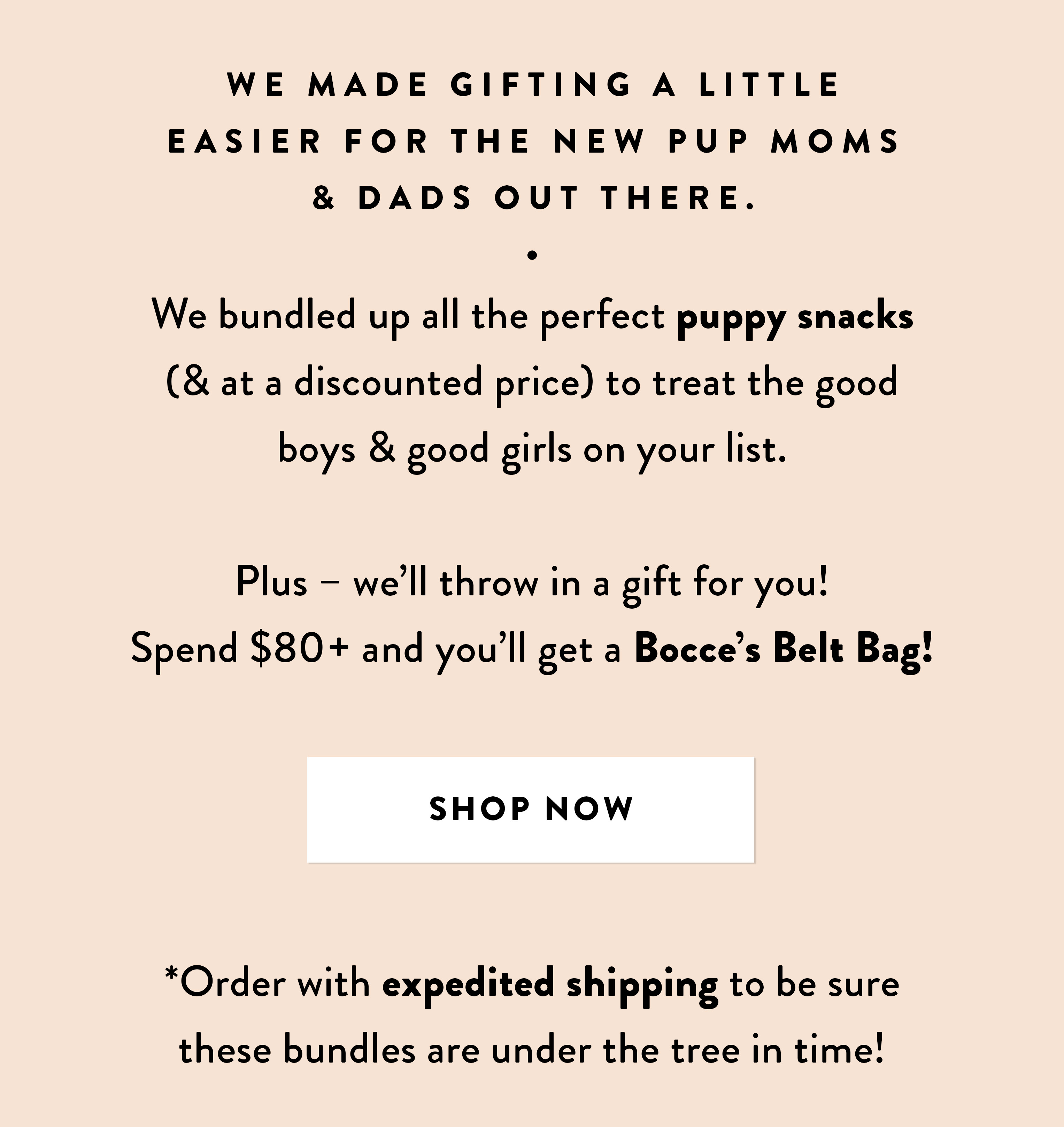 Everything you need for a new pup 🐶 Bocce's Bakery