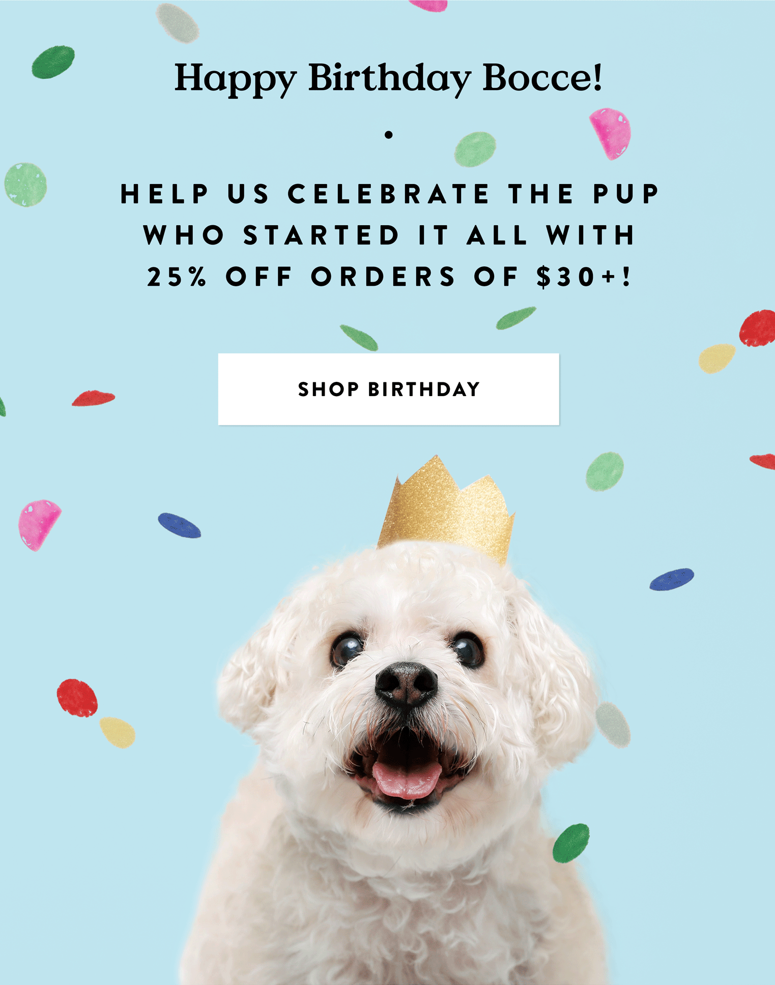 Happy Birthday Bocce! 🎂 Bocce's Bakery