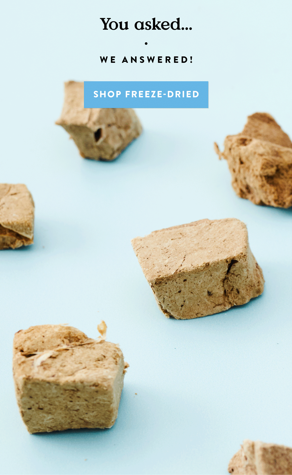 FreezeDried is here! 🤩 Bocce's Bakery