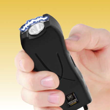 mini stun gun