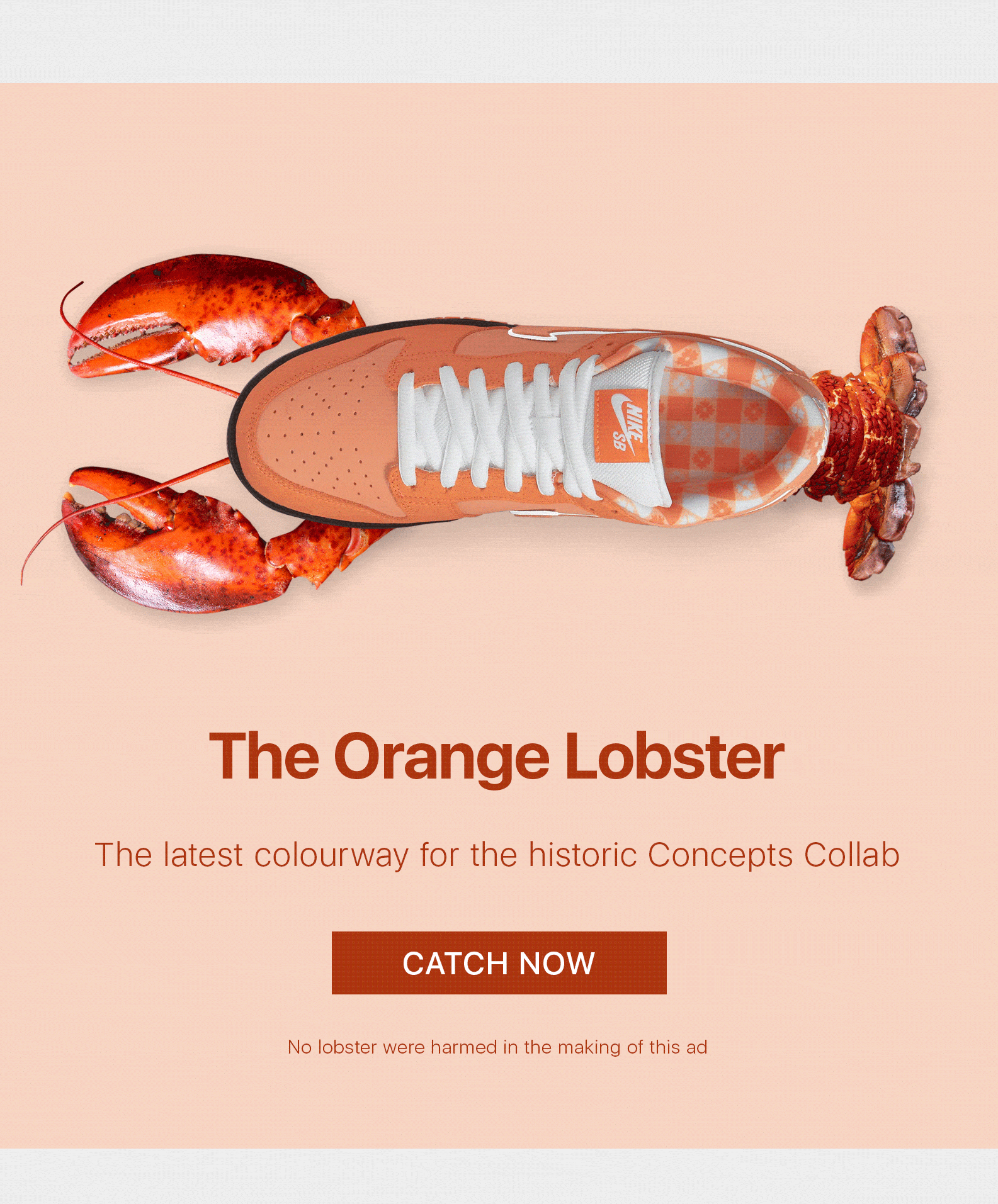 👀 KLEKT’s Best Selling Kicks of 2022 📈 KLEKT