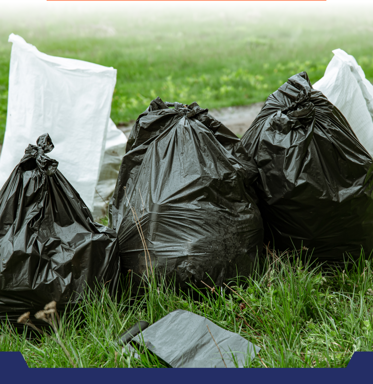 Black garbage bags on grass with a white bag in the background.