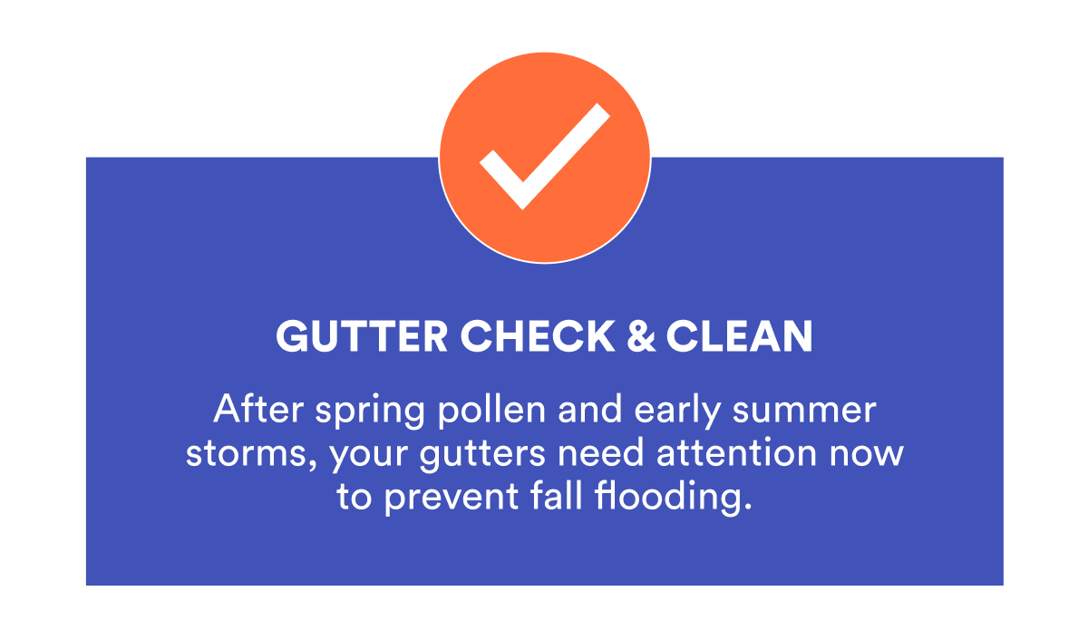 GUTTER CHECK & CLEAN 