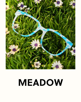 MEADOW