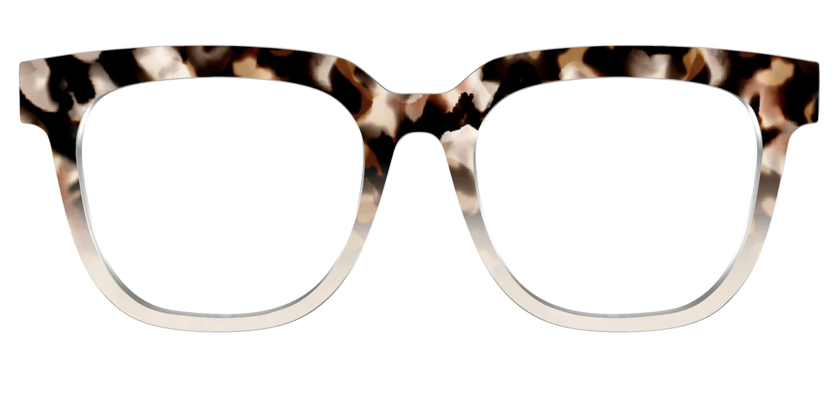 The Vanilla Latte Tortoise