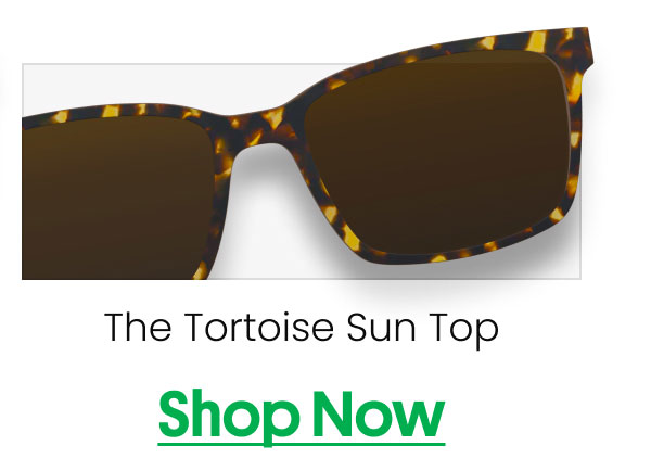 The Tortoise Sun Top | Shop Now