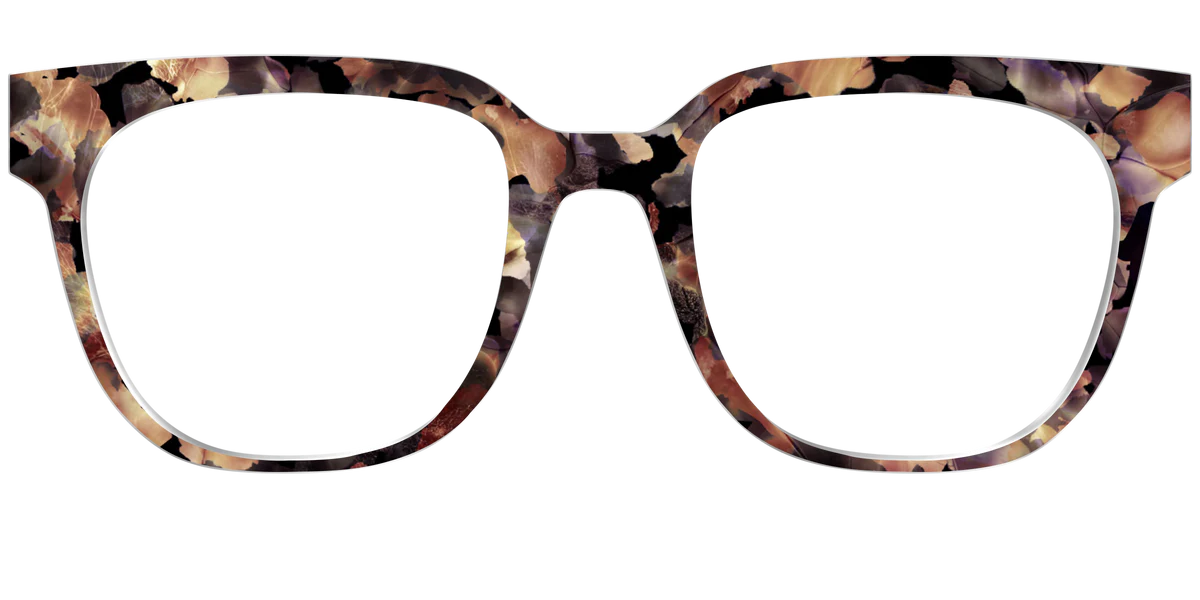 The Vintage Tortoise