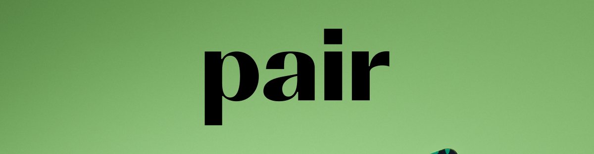 Pair
