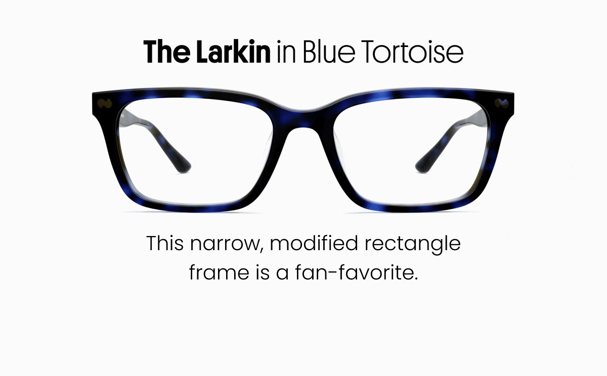 The Larkin in Blue Tortoise
