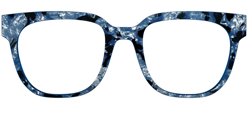 The Midnight Blue Pearl Tortoise