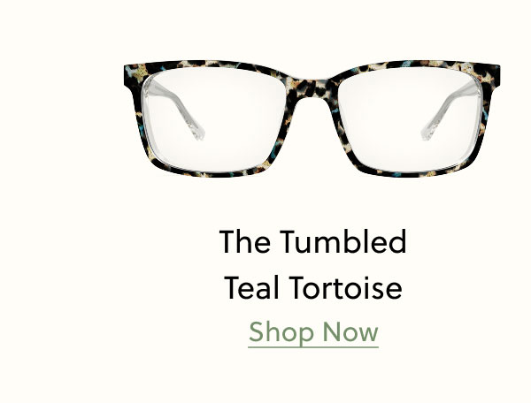 The Tumbled Teal Tortoise | Shop Now