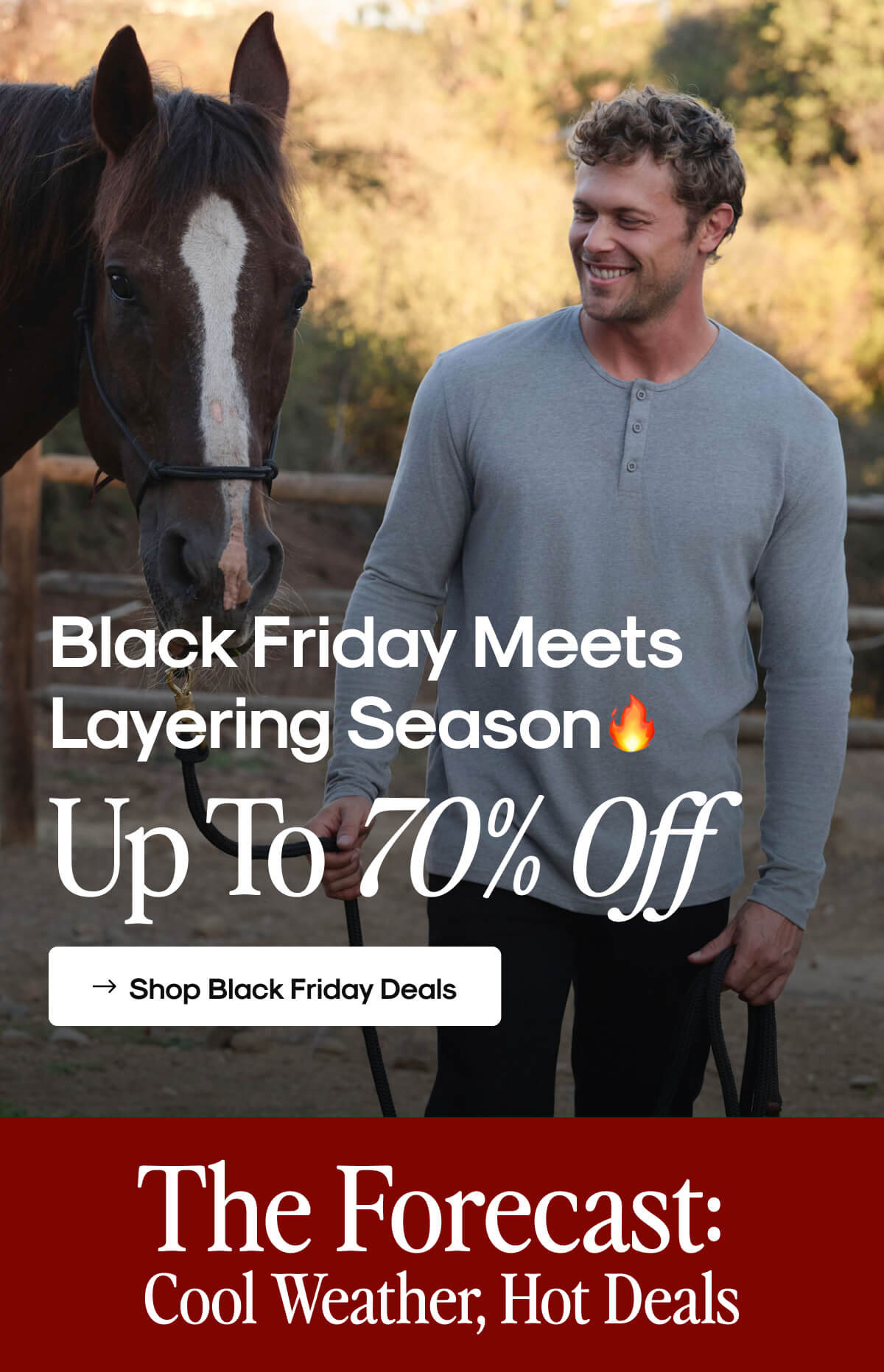 Shop Black Friday Deals
