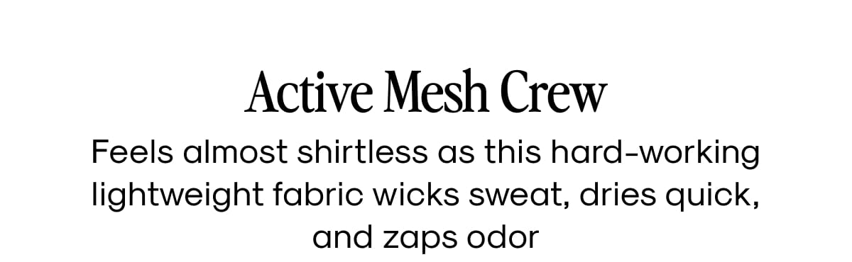 Active Mesh Crew