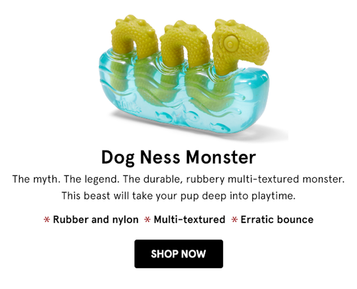 Dog Ness Monster