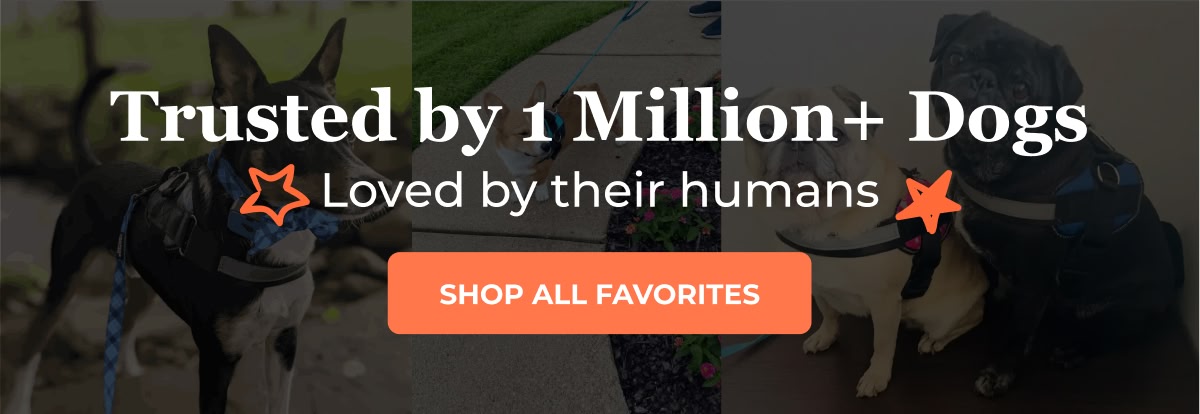 Trusted by 1 Million+ Dogs Loved by their humans