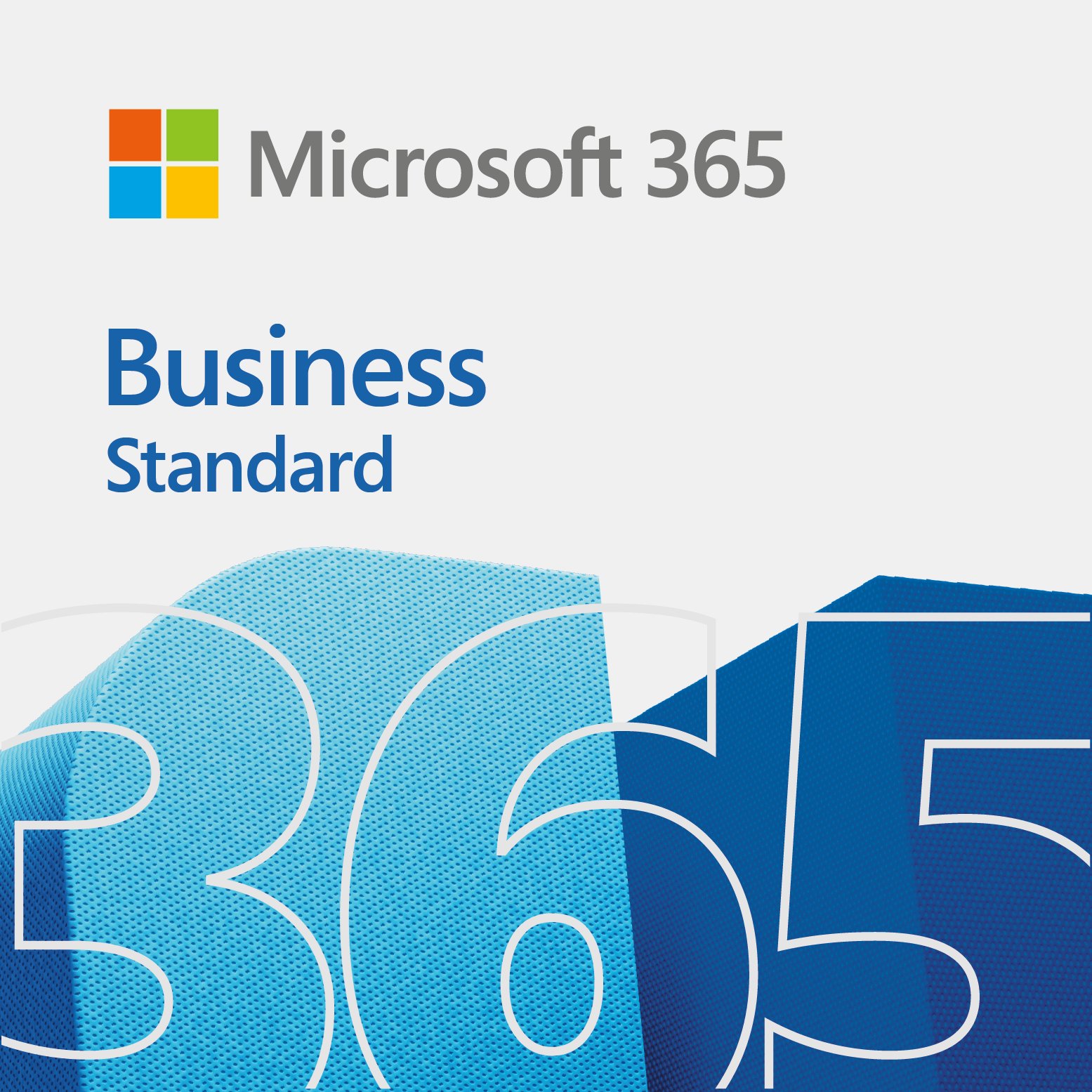 Microsoft 365 Business Standard ML