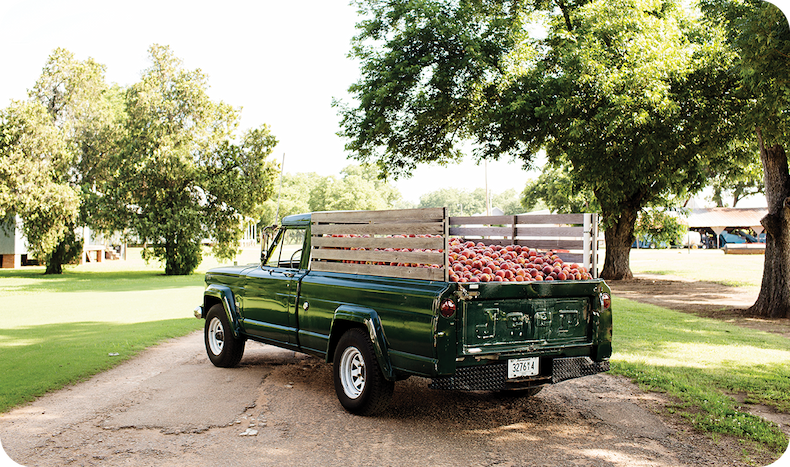 The original peach truck.