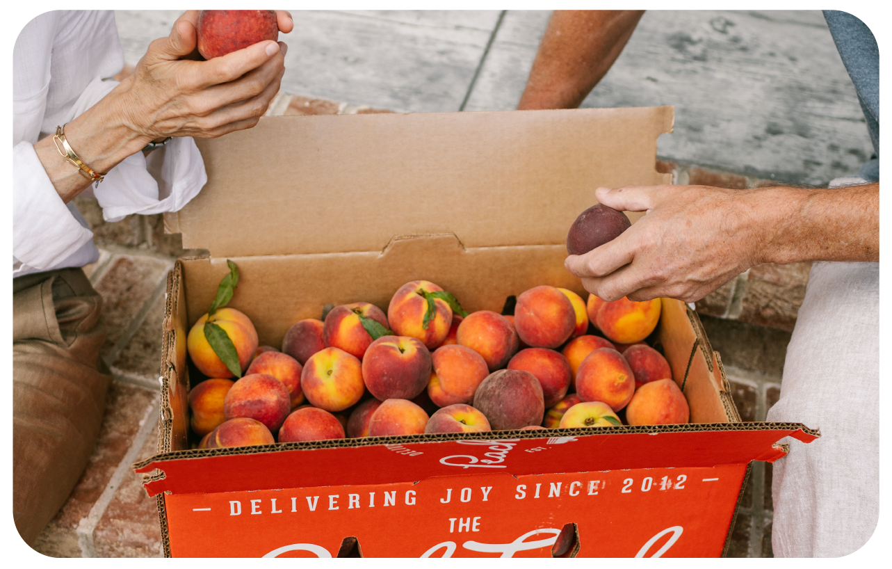 Welcome to The Peach Truck