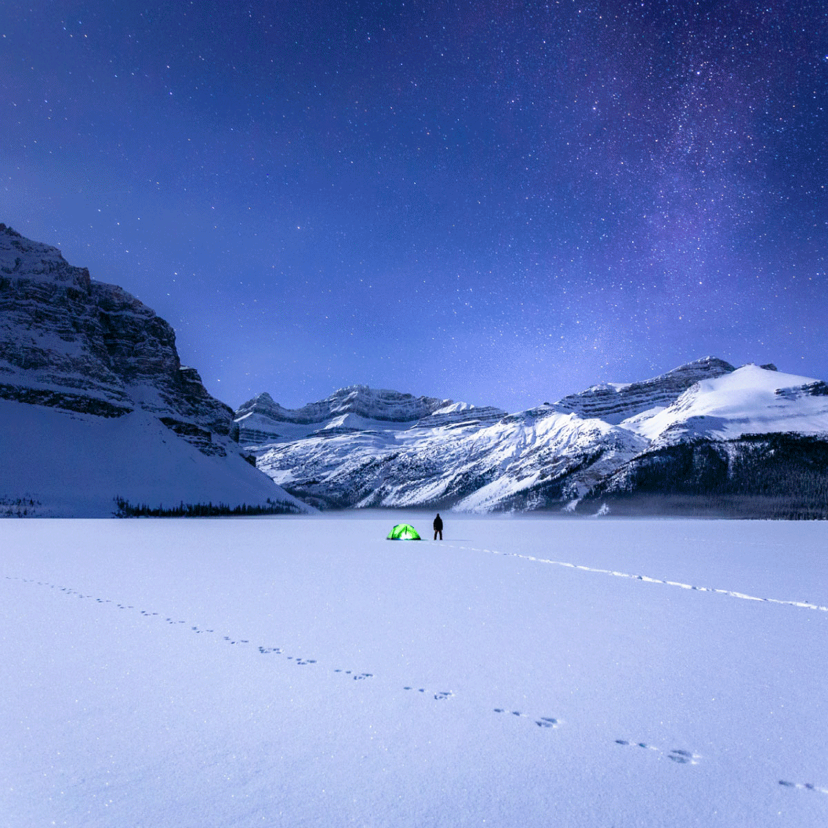 Dreaming of Winter