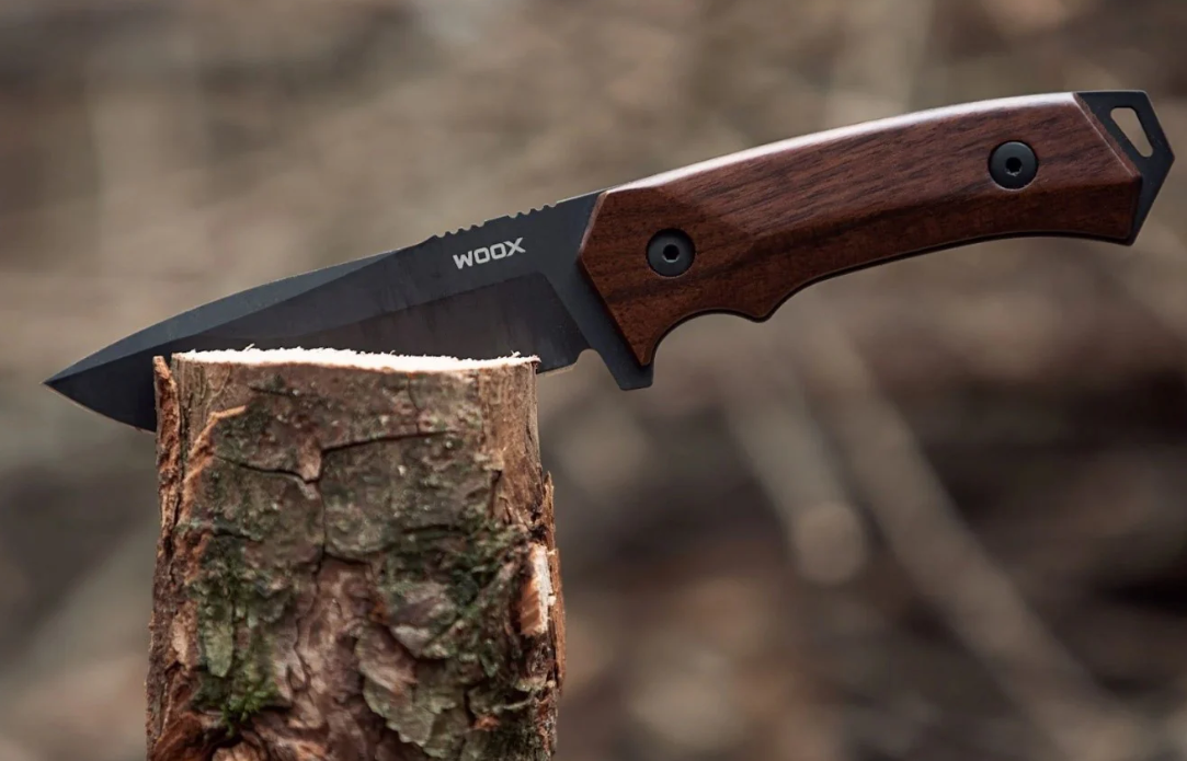 Discover the Best Knives for Camping