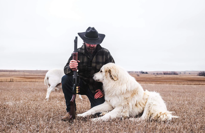 Never Pets, First Partners: Leadership Lessons from Working Dogs Never Pets, First Partners: Leadership Lessons from Working Dogs